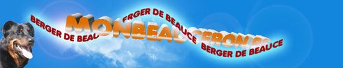 Site de Ludovic Thoor et Hagrid